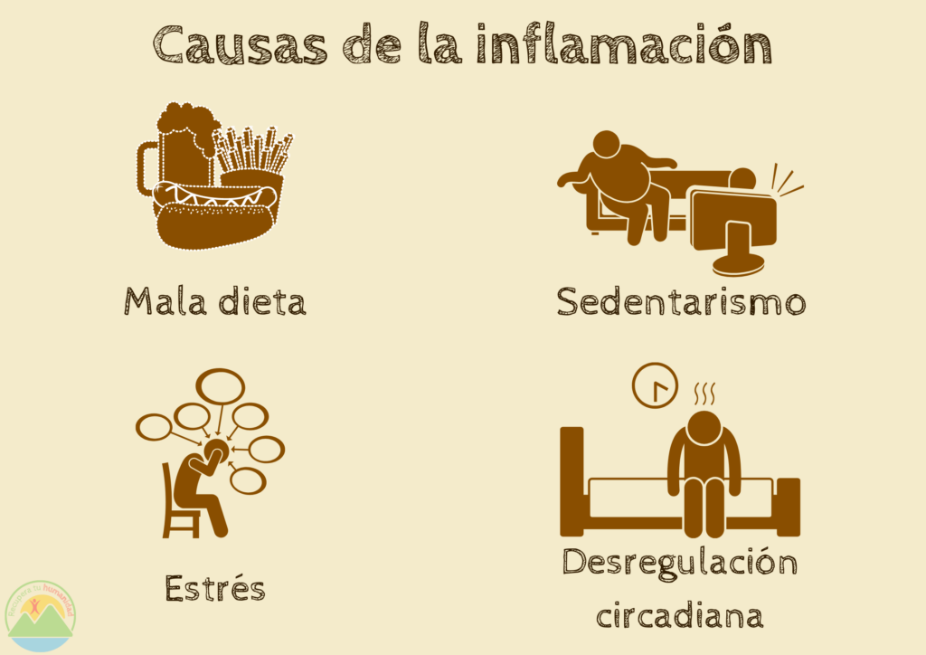 Infografía con las causas de la inflamación.