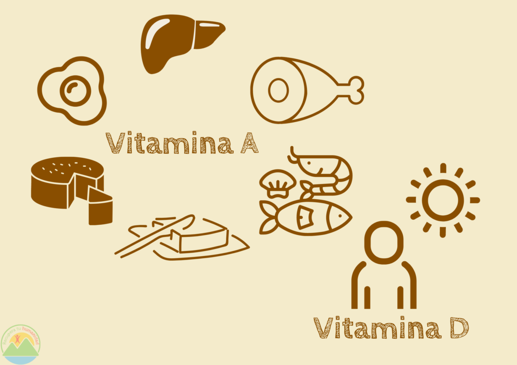 Infografía vitamina A y vitamina D.
